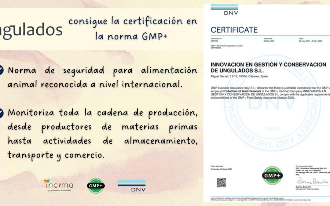 INGULADOS YA CUENTA CON CERTIFICADO GMP+ (versión 2020)